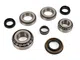 OEM Differential Bearings and Seals Kit R200
