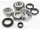 OEM R32 GTR Rear Differential Bearing and Seal Kit